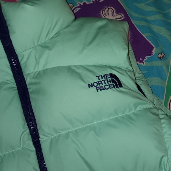 The North Face Goose Down 700 Puffer Vest Jacket - Picture 4 of 8